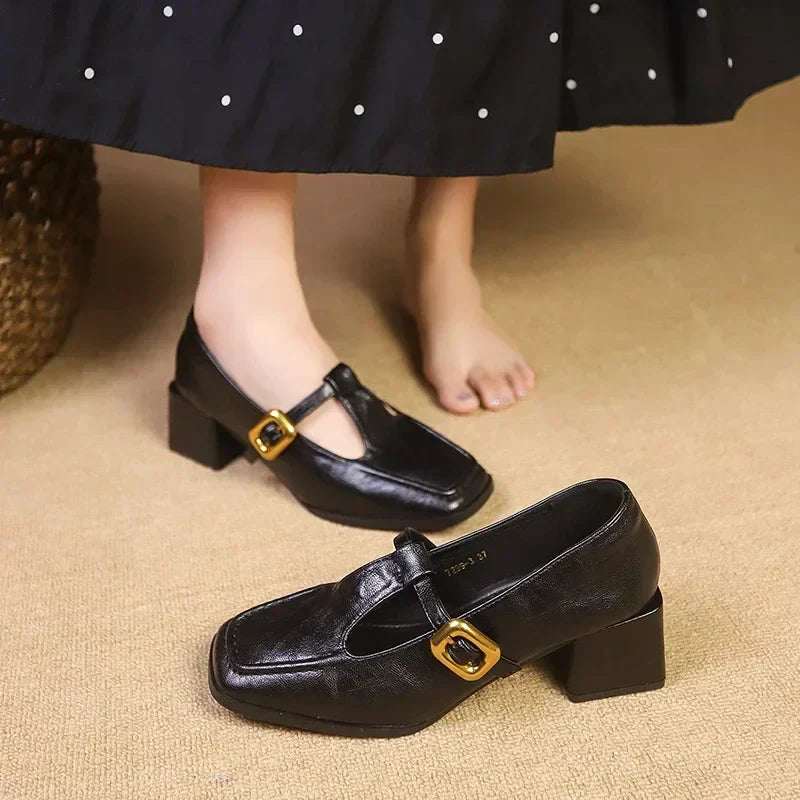 Dorvanna | French Mary Jane Block Heel Shoes