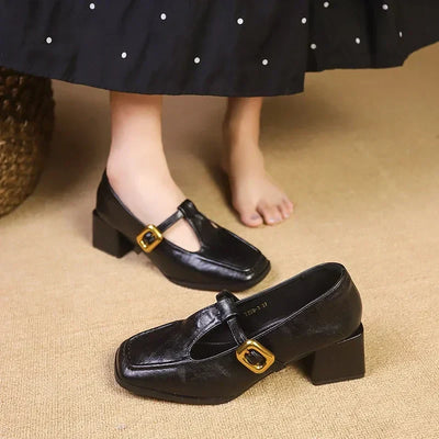Dorvanna | French Mary Jane Block Heel Shoes